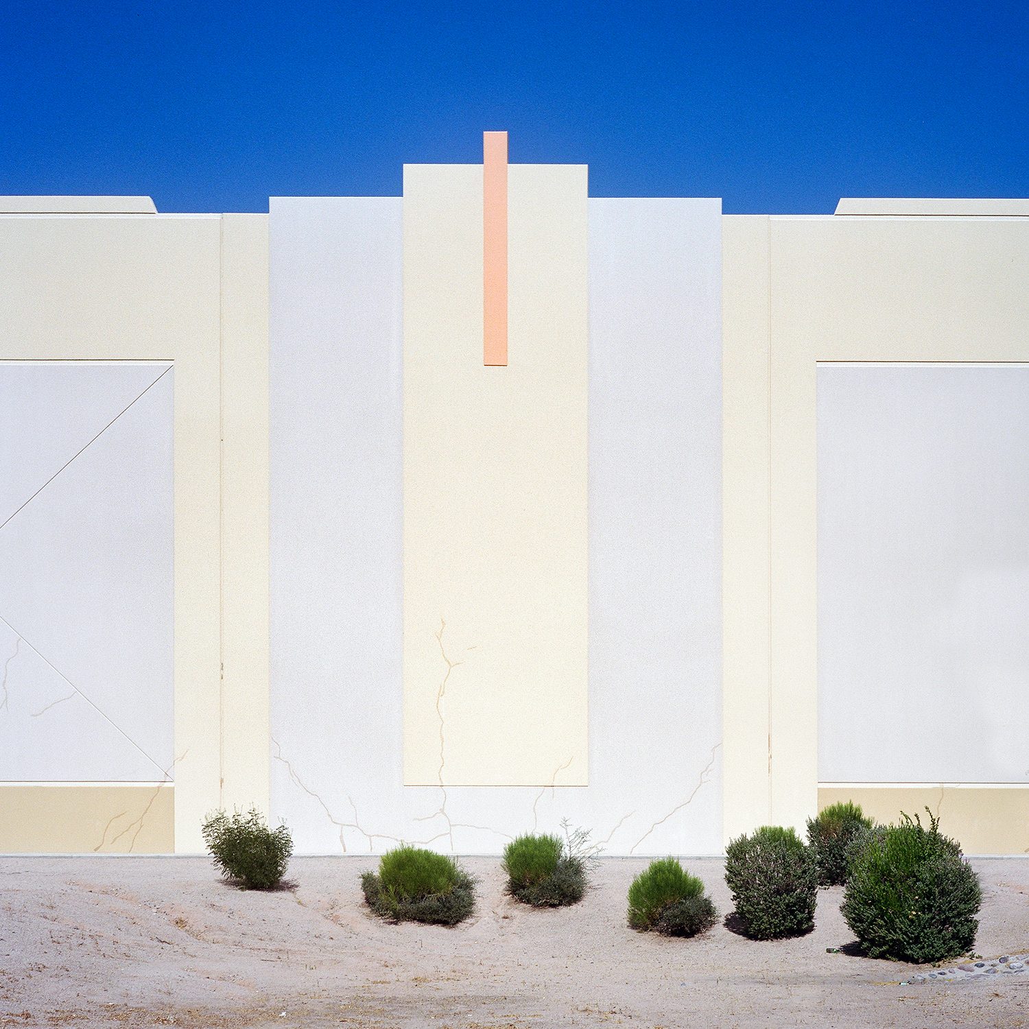 A Tree Grows In, photograph 22 by Sinziana Velicescu