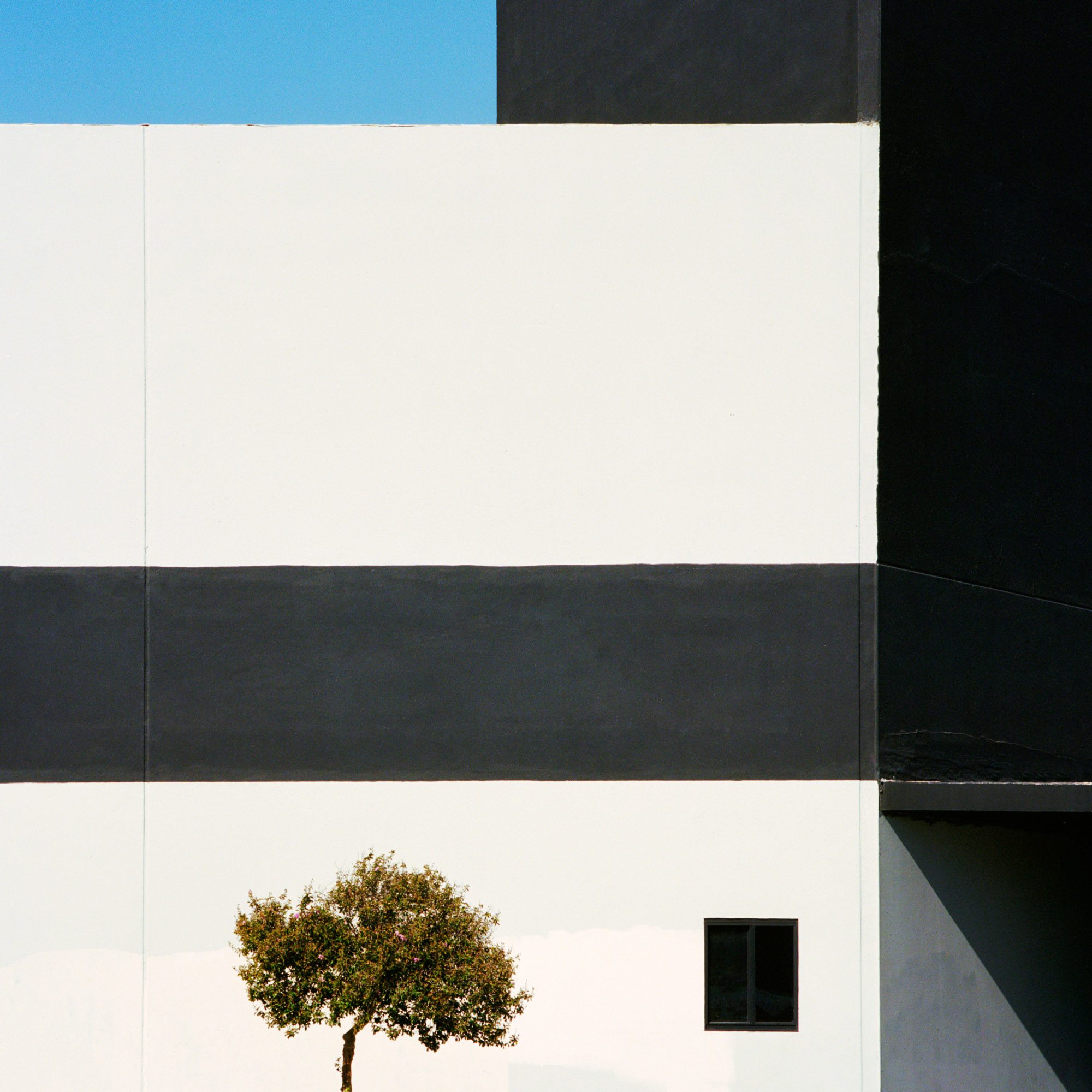 American Mirage, photograph 12 by Sinziana Velicescu
