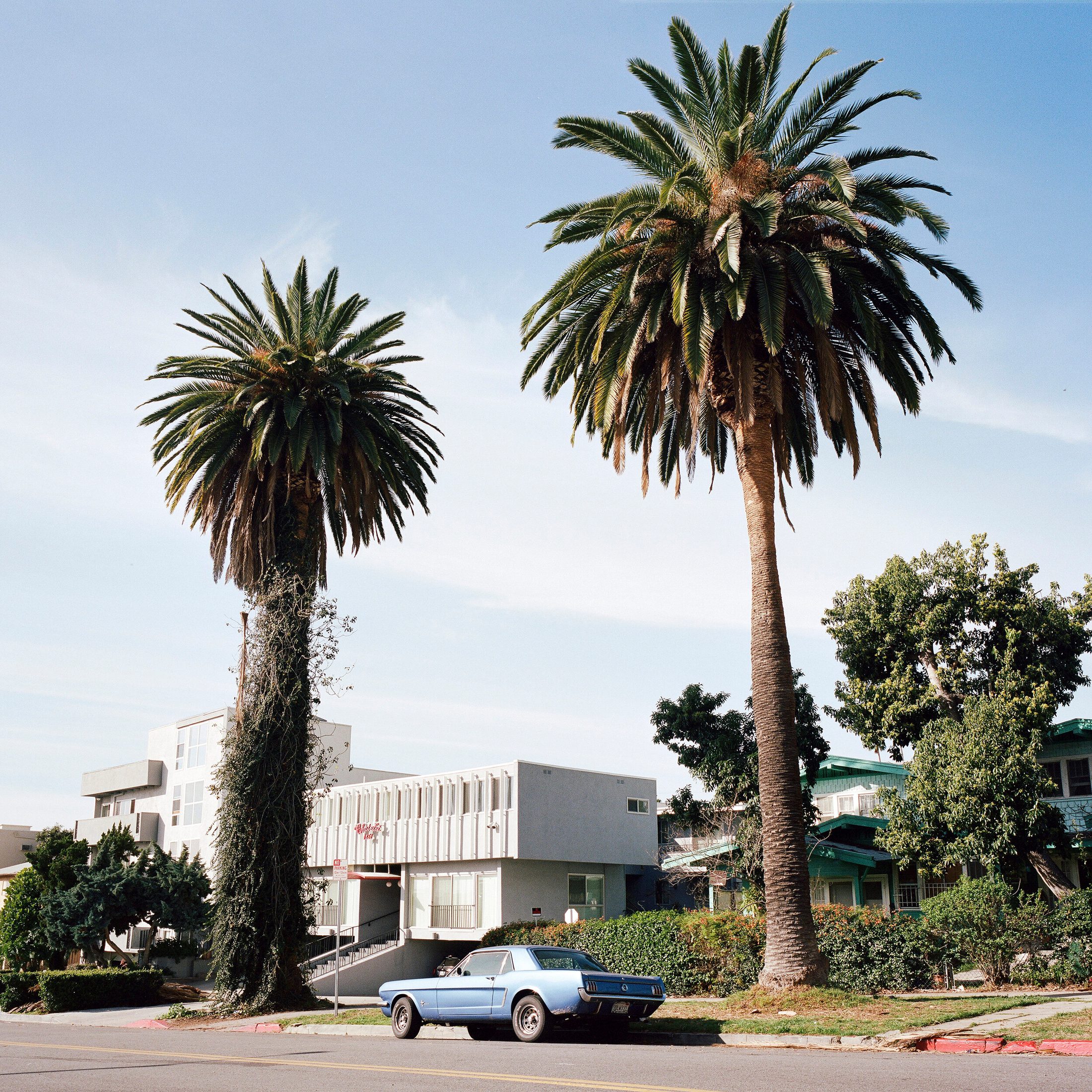 Autopia, photograph 1 by Sinziana Velicescu