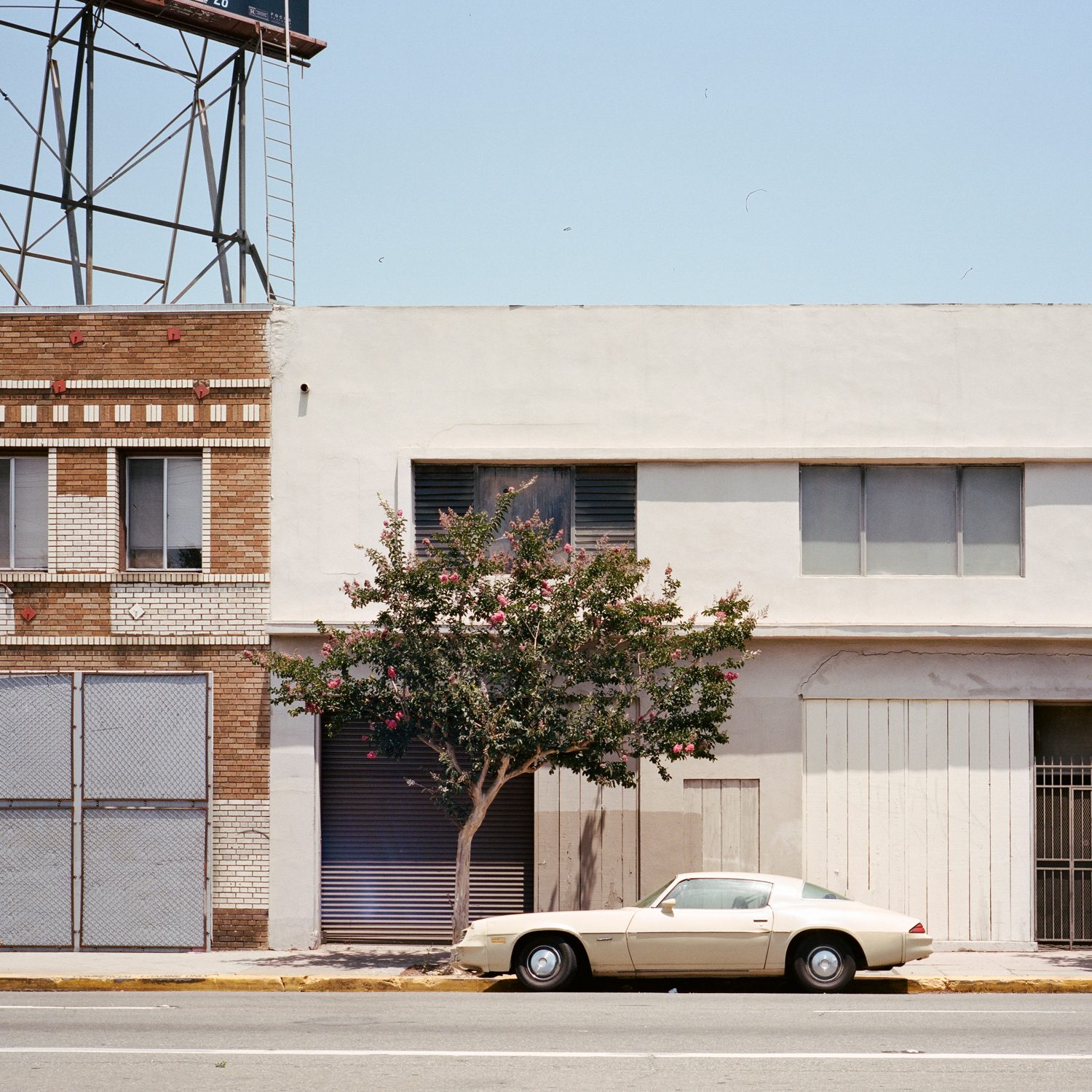 Autopia, photograph 6 by Sinziana Velicescu
